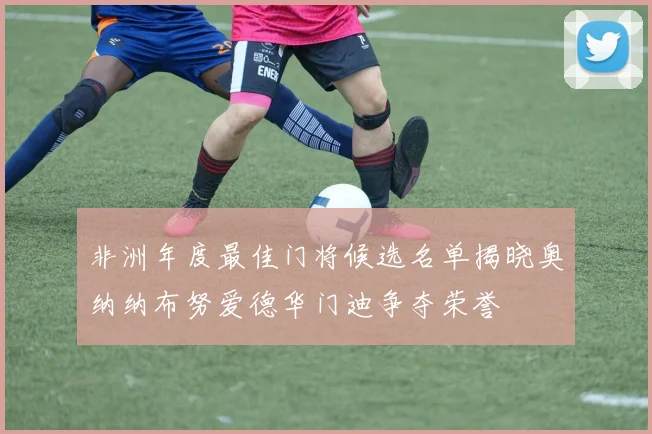非洲年度最佳门将候选名单揭晓奥纳纳布努爱德华门迪争夺荣誉