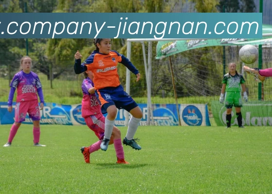 江南体育APP 封面图